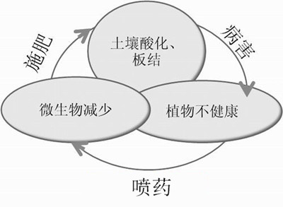 化肥不等于科學(xué)，請客觀評判！